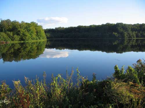 Étang à proximité du Domaine de Tardais