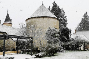 Tardais sous la neige