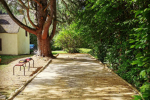 terrain de pétanque